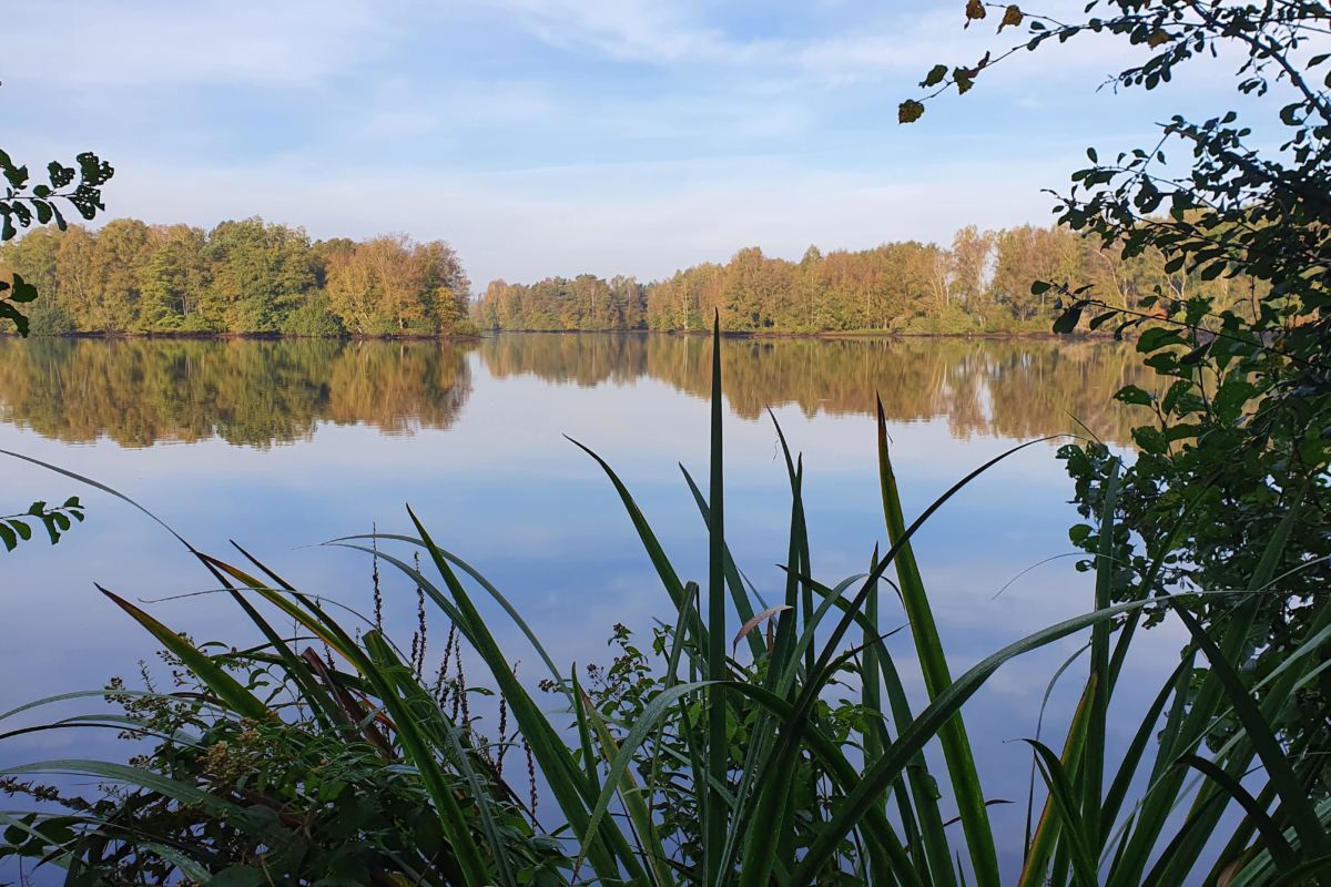 Thülsfelder Talsperre Herbst 1 (c)S. Muth, ETT e. V.